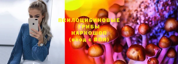 стафф Володарск