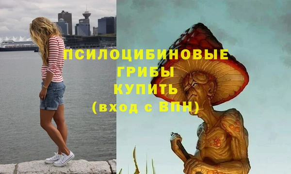 стафф Володарск
