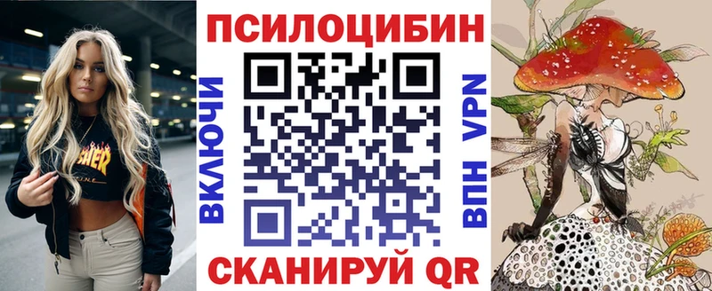 KRAKEN наркошоп Вилюйск Псилоцибиновые грибы GOLDEN TEACHER
